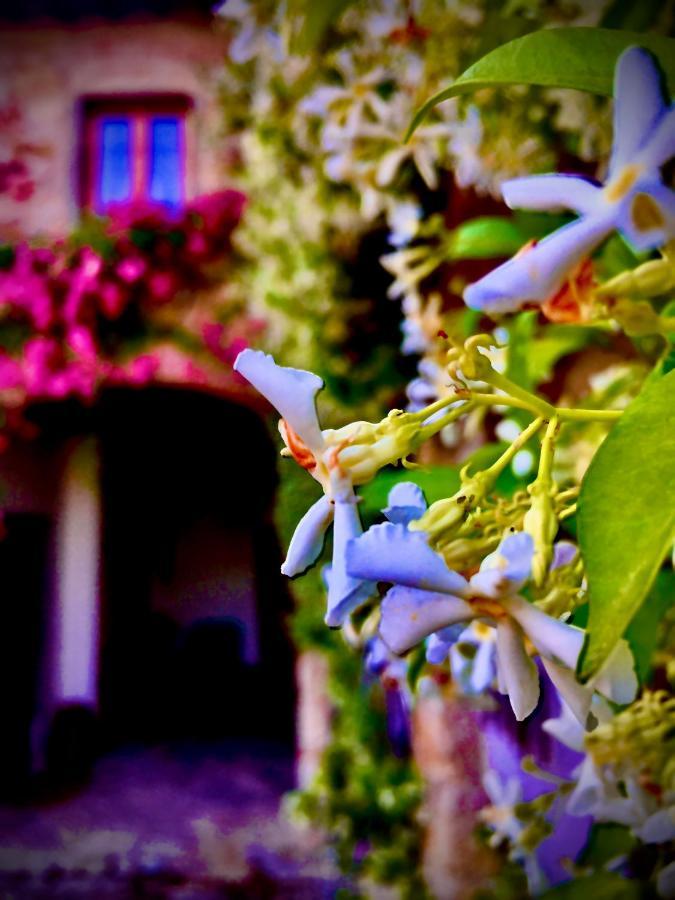 Podere Di Belforte บันโญ อา ริโพลี ภายนอก รูปภาพ