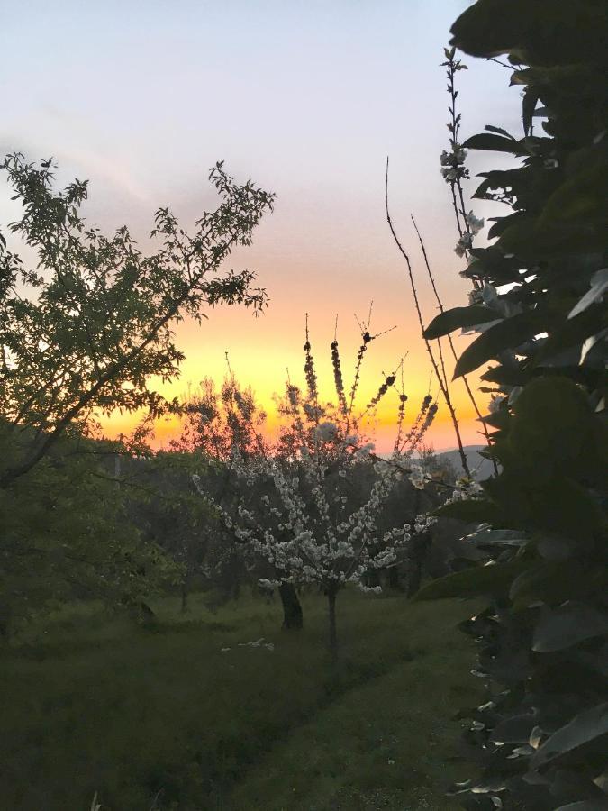 Podere Di Belforte บันโญ อา ริโพลี ภายนอก รูปภาพ