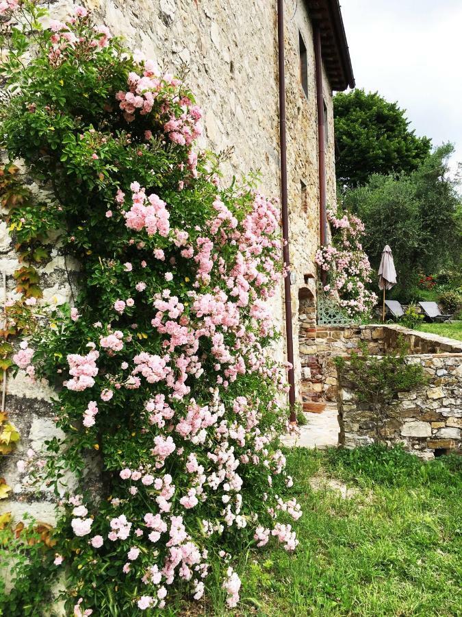 Podere Di Belforte บันโญ อา ริโพลี ภายนอก รูปภาพ