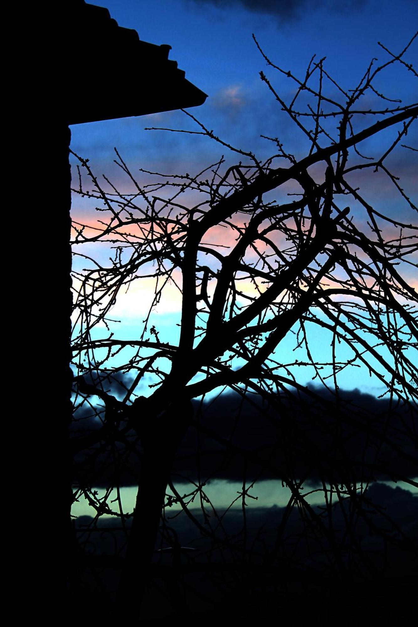 Podere Di Belforte บันโญ อา ริโพลี ภายนอก รูปภาพ